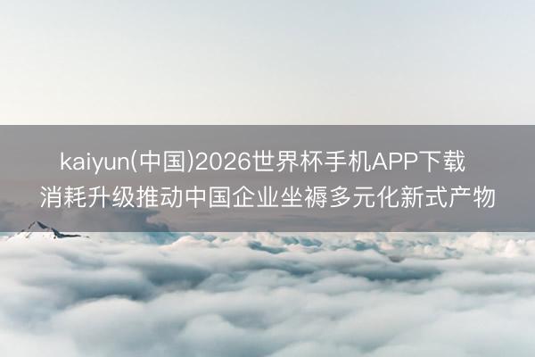 kaiyun(中国)2026世界杯手机APP下载 消耗升级推动中国企业坐褥多元化新式产物