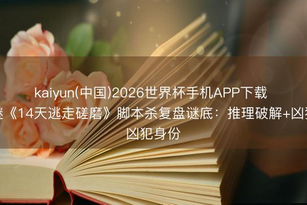 kaiyun(中国)2026世界杯手机APP下载 我是谜《14天逃走磋磨》脚本杀复盘谜底：推理破解+凶犯身份