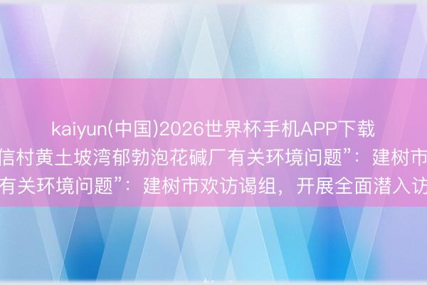 kaiyun(中国)2026世界杯手机APP下载 武汉通报“新洲区李集街张信村黄土坡湾郁勃泡花碱厂有关环境问题”：建树市欢访谒组，开展全面潜入访谒
