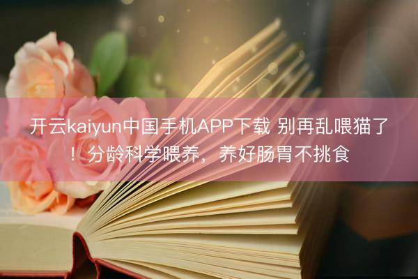 开云kaiyun中国手机APP下载 别再乱喂猫了！分龄科学喂养，养好肠胃不挑食