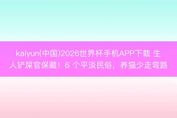 kaiyun(中国)2026世界杯手机APP下载 生人铲屎官保藏！6 个平淡民俗，养猫少走弯路