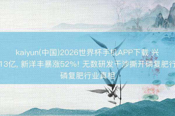 kaiyun(中国)2026世界杯手机APP下载 兴发狂砸13亿， 新洋丰暴涨52%! 无数研发干涉撕开磷复肥行业真相
