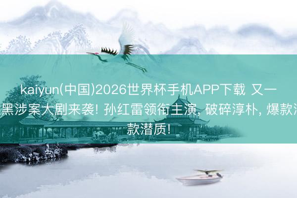 kaiyun(中国)2026世界杯手机APP下载 又一部扫黑涉案大剧来袭! 孙红雷领衔主演， 破碎淳朴， 爆款潜质!