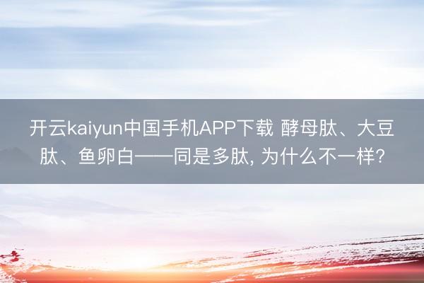开云kaiyun中国手机APP下载 酵母肽、大豆肽、鱼卵白——同是多肽, 为什么不一样?
