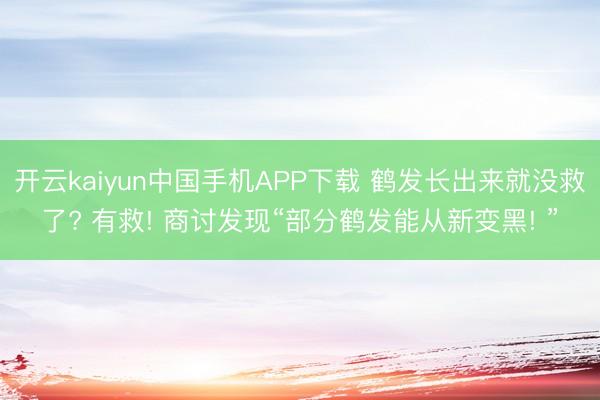 开云kaiyun中国手机APP下载 鹤发长出来就没救了? 有救! 商讨发现“部分鹤发能从新变黑! ”
