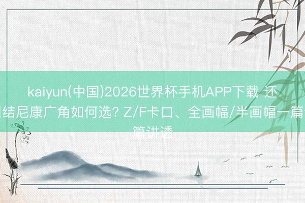 kaiyun(中国)2026世界杯手机APP下载 还在纠结尼康广角如何选? Z/F卡口、全画幅/半画幅一篇讲透