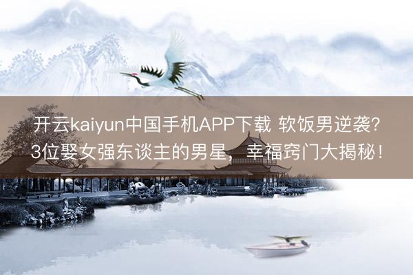 开云kaiyun中国手机APP下载 软饭男逆袭？3位娶女强东谈主的男星，幸福窍门大揭秘！