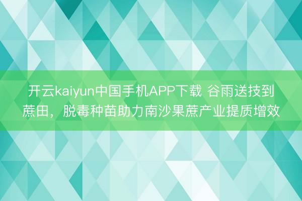 开云kaiyun中国手机APP下载 谷雨送技到蔗田，脱毒种苗助力南沙果蔗产业提质增效